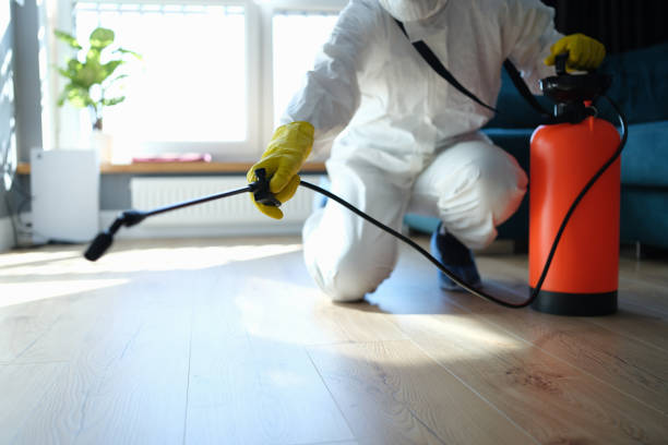 Reliable Sewage Cleanup contractor in Adelanto, CA by Trauma Clean Pros
